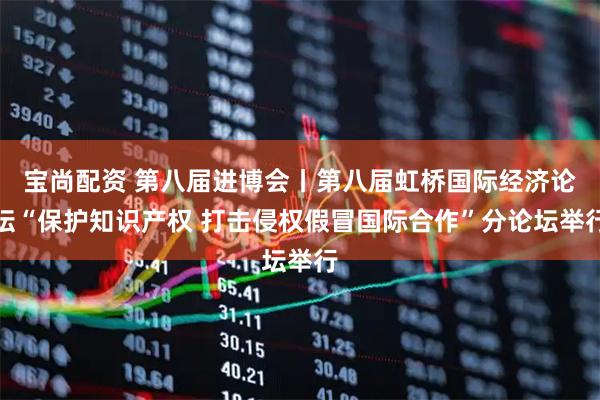 宝尚配资 第八届进博会丨第八届虹桥国际经济论坛“保护知识产权 打击侵权假冒国际合作”分论坛举行
