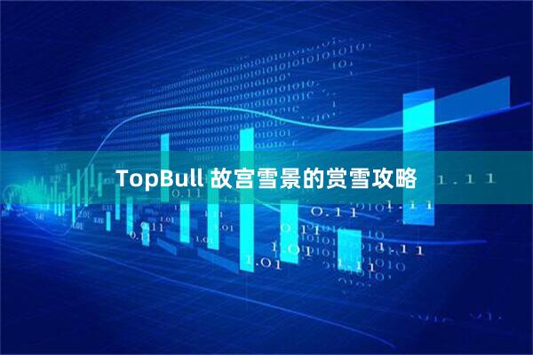 TopBull 故宫雪景的赏雪攻略