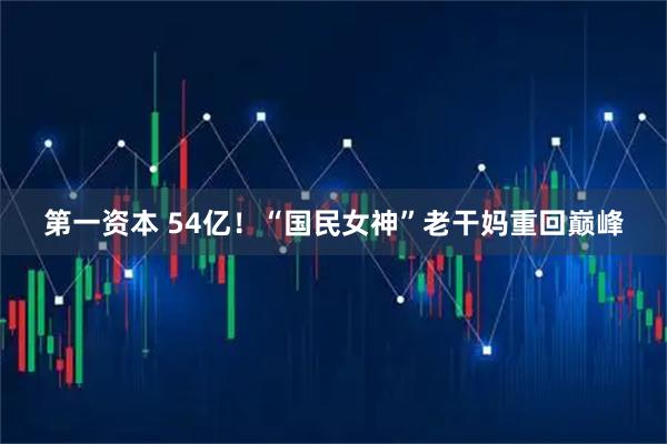 第一资本 54亿！“国民女神”老干妈重回巅峰