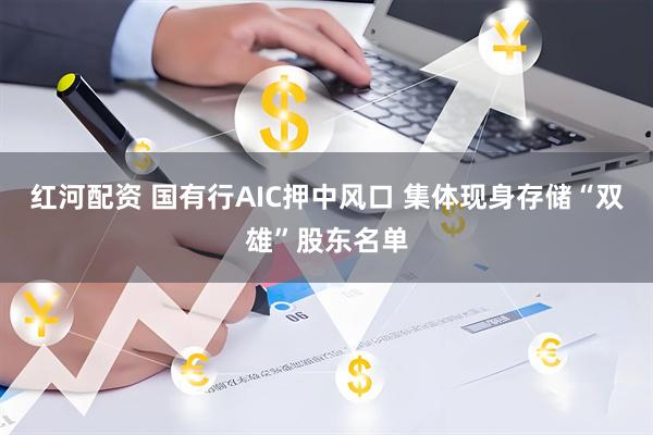 红河配资 国有行AIC押中风口 集体现身存储“双雄”股东名单