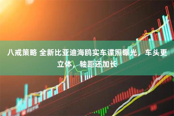 八戒策略 全新比亚迪海鸥实车谍照曝光，车头更立体，轴距还加长